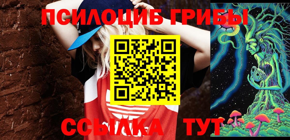 Каменск-Уральский  где купить   Вход с VPN  Псилоцибиновые грибы Psilocybe  Псилоцибиновые грибы Psilocybine cubensis 